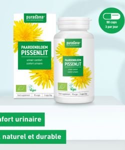 Pissenlit extrait 250 mg BIO BIO, 90 gélules